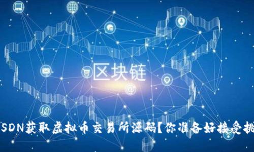 如何在CSDN获取虚拟币交易所源码？你准备好接受挑战了吗？