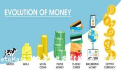 为何你的 MetaMask 钱包需要收藏品？解锁更丰富的