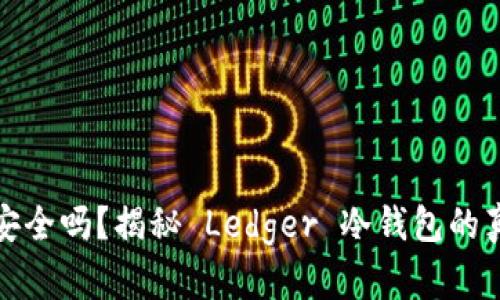 你的加密资产安全吗？揭秘 Ledger 冷钱包的真相与使用技巧