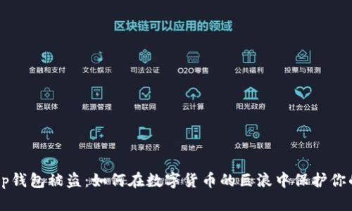 Bitkeep钱包被盗：如何在数字货币的巨浪中保护你的资产？