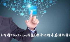  为什么选择Electrum钱包？揭开比特币存储的神秘