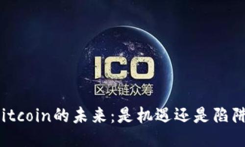 Bitcoin的未来：是机遇还是陷阱？