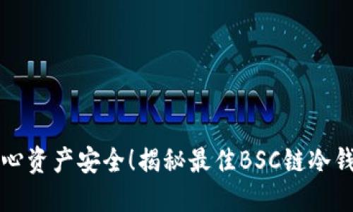 不再担心资产安全！揭秘最佳BSC链冷钱包选择