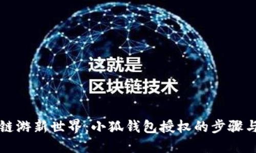 解锁链游新世界：小狐钱包授权的步骤与技巧