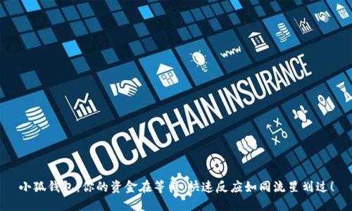 小狐钱包：你的资金在等待，快速反应如同流星划过！