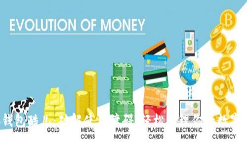 小狐钱包酷儿：破解使用障碍，轻松管理你的数字资产！