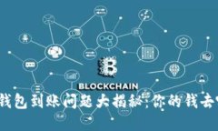 小狐钱包到账问题大揭秘：你的钱去哪了？
