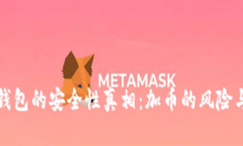 小狐钱包的安全性真相：加币的风险与挑战