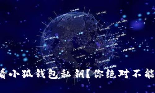 如何安全查看小狐钱包私钥？你绝对不能错过的技巧！