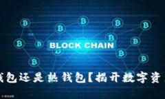 芭蕾钱包：冷钱包还是热钱包？揭开数字资产保