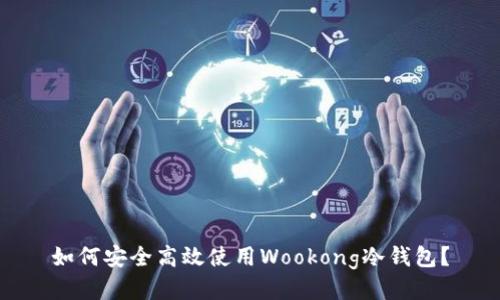 如何安全高效使用Wookong冷钱包？