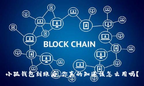 小狐钱包到账后，你真的知道该怎么用吗？