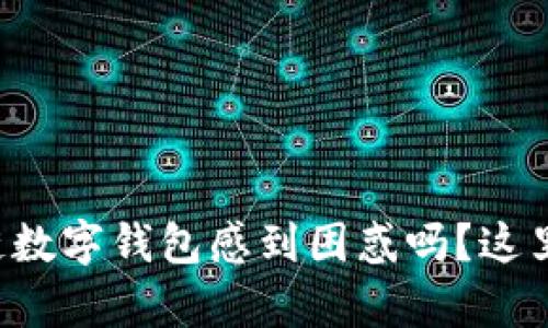 你还在为投资冷链数字钱包感到困惑吗？这里有你需要的答案！