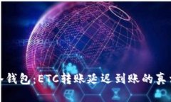 从热钱包到冷钱包：ETC转账延迟到账的真相与应