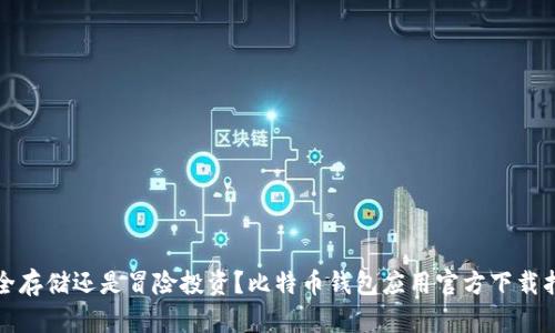 安全存储还是冒险投资？比特币钱包应用官方下载指南