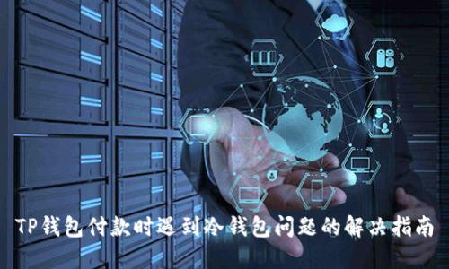 TP钱包付款时遇到冷钱包问题的解决指南