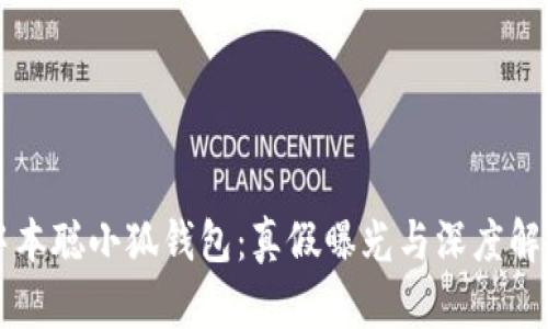 中本聪小狐钱包：真假曝光与深度解析