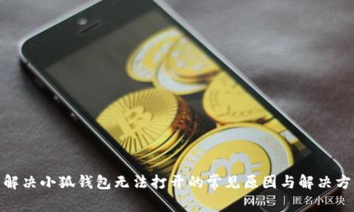 : 解决小狐钱包无法打开的常见原因与解决方案