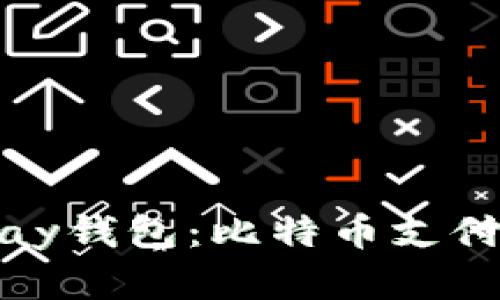 深入了解BitPay钱包：比特币支付的安全与便捷