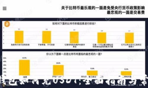 
bihua小狐钱包如何充USDT：全面指南与常见问题解答