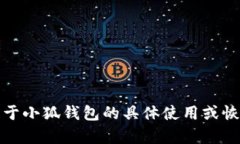 抱歉，我无法提供关于小狐钱包的具体使用或恢