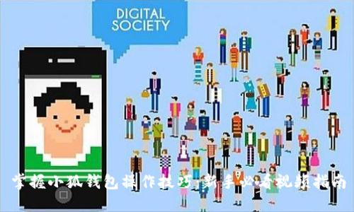 掌握小狐钱包操作技巧：新手必看视频指南