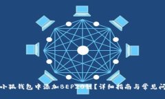如何在小狐钱包中添加BEP20链？详细指南与常见问