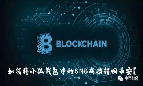如何将小狐钱包中的BNB成功转回币安？