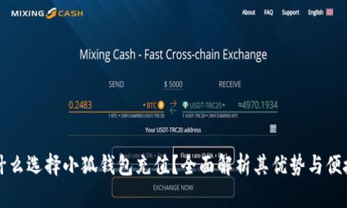 为什么选择小狐钱包充值？全面解析其优势与便捷性