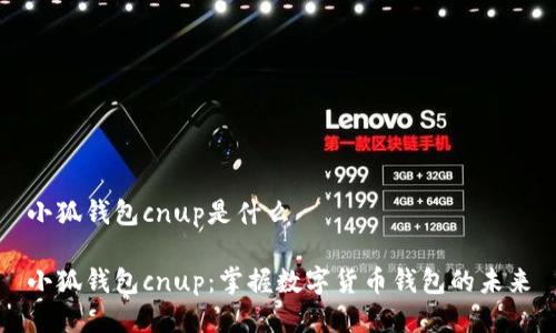小狐钱包cnup是什么

小狐钱包cnup：掌握数字货币钱包的未来