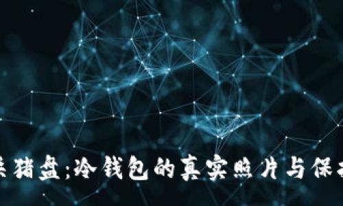 :
揭密杀猪盘：冷钱包的真实照片与保护建议