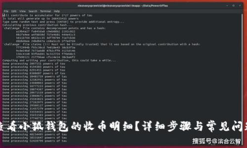 如何查看小狐钱包的收币明细？详细步骤与常见问题解析