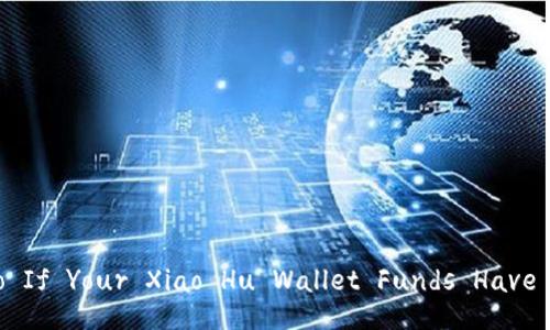 : What to Do If Your Xiao Hu Wallet Funds Have Disappeared?