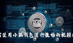 : 如何使用小狐钱包进行流畅的视频播放