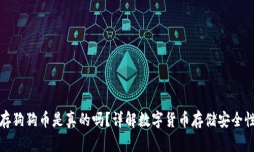 小狐钱包存狗狗币是真的吗？详解数字货币存储安全性与实用性