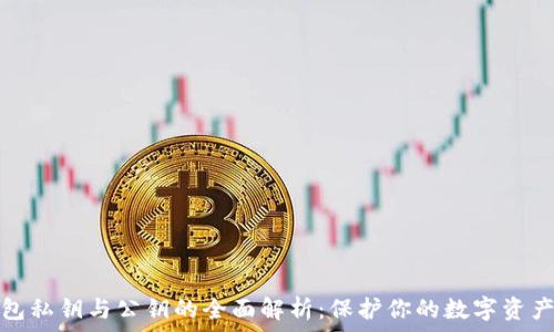   
冷钱包私钥与公钥的全面解析：保护你的数字资产安全