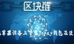 如何在苹果设备上下载Topay钱包及使用指南