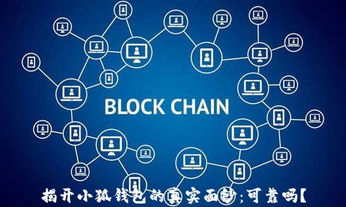 
揭开小狐钱包的真实面纱：可靠吗？