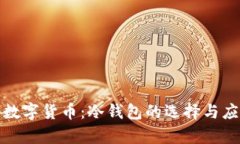 : 恒宝数字货币：冷钱包的选择与应用解析