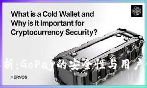 : 全面解析：GoPay的安全性与用户保护措施