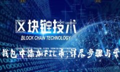 如何在小狐钱包中添加FIL币：详尽步骤与常见问